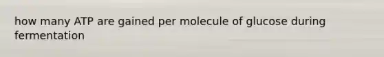 how many ATP are gained per molecule of glucose during fermentation