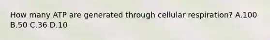 How many ATP are generated through <a href='https://www.questionai.com/knowledge/k1IqNYBAJw-cellular-respiration' class='anchor-knowledge'>cellular respiration</a>? A.100 B.50 C.36 D.10