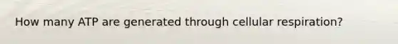 How many ATP are generated through cellular respiration?