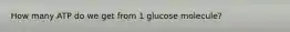 How many ATP do we get from 1 glucose molecule?