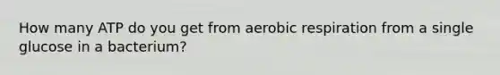 How many ATP do you get from aerobic respiration from a single glucose in a bacterium?