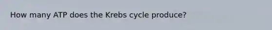 How many ATP does the Krebs cycle produce?