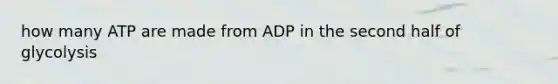 how many ATP are made from ADP in the second half of glycolysis