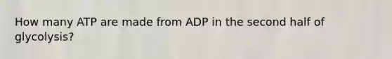 How many ATP are made from ADP in the second half of glycolysis?