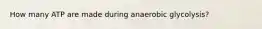How many ATP are made during anaerobic glycolysis?