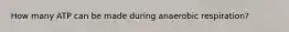 How many ATP can be made during anaerobic respiration?
