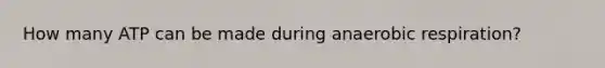 How many ATP can be made during anaerobic respiration?