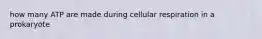 how many ATP are made during cellular respiration in a prokaryote