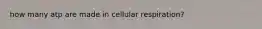 how many atp are made in cellular respiration?