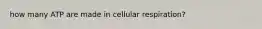 how many ATP are made in cellular respiration?