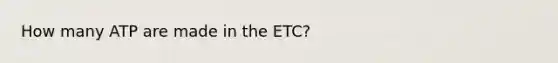 How many ATP are made in the ETC?