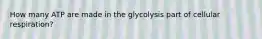 How many ATP are made in the glycolysis part of cellular respiration?