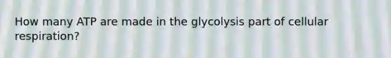 How many ATP are made in the glycolysis part of <a href='https://www.questionai.com/knowledge/k1IqNYBAJw-cellular-respiration' class='anchor-knowledge'>cellular respiration</a>?