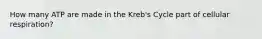 How many ATP are made in the Kreb's Cycle part of cellular respiration?