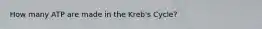 How many ATP are made in the Kreb's Cycle?