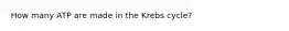 How many ATP are made in the Krebs cycle?