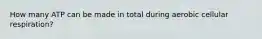 How many ATP can be made in total during aerobic cellular respiration?
