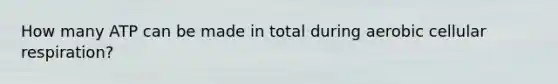 How many ATP can be made in total during aerobic cellular respiration?