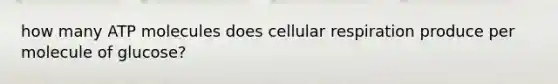 how many ATP molecules does cellular respiration produce per molecule of glucose?