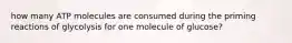 how many ATP molecules are consumed during the priming reactions of glycolysis for one molecule of glucose?