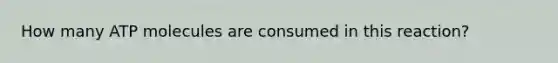 How many ATP molecules are consumed in this reaction?