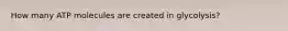 How many ATP molecules are created in glycolysis?