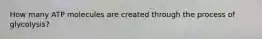How many ATP molecules are created through the process of glycolysis?
