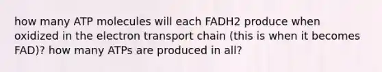 how many ATP molecules will each FADH2 produce when oxidized in the electron transport chain (this is when it becomes FAD)? how many ATPs are produced in all?