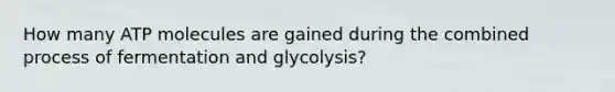 How many ATP molecules are gained during the combined process of fermentation and glycolysis?