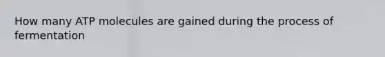 How many ATP molecules are gained during the process of fermentation