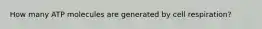How many ATP molecules are generated by cell respiration?