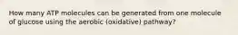 How many ATP molecules can be generated from one molecule of glucose using the aerobic (oxidative) pathway?