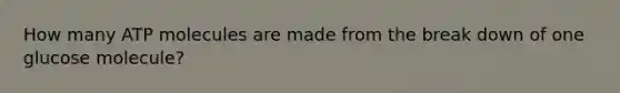 How many ATP molecules are made from the break down of one glucose molecule?