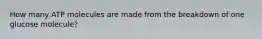 How many ATP molecules are made from the breakdown of one glucose molecule?