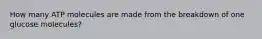 How many ATP molecules are made from the breakdown of one glucose molecules?