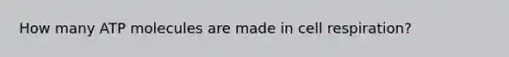 How many ATP molecules are made in cell respiration?