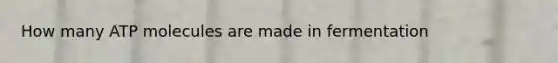 How many ATP molecules are made in fermentation