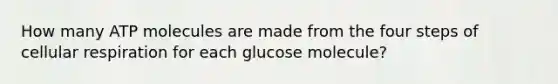 How many ATP molecules are made from the four steps of cellular respiration for each glucose molecule?