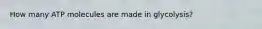 How many ATP molecules are made in glycolysis?