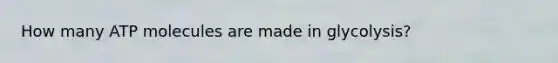 How many ATP molecules are made in glycolysis?