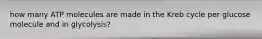 how many ATP molecules are made in the Kreb cycle per glucose molecule and in glycolysis?