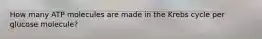 How many ATP molecules are made in the Krebs cycle per glucose molecule?