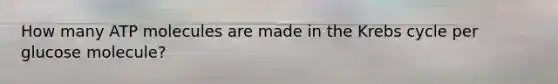 How many ATP molecules are made in the <a href='https://www.questionai.com/knowledge/kqfW58SNl2-krebs-cycle' class='anchor-knowledge'>krebs cycle</a> per glucose molecule?