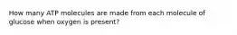 How many ATP molecules are made from each molecule of glucose when oxygen is present?