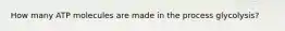 How many ATP molecules are made in the process glycolysis?