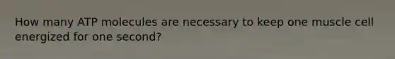 How many ATP molecules are necessary to keep one muscle cell energized for one second?