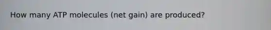 How many ATP molecules (net gain) are produced?