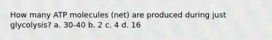 How many ATP molecules (net) are produced during just glycolysis? a. 30-40 b. 2 c. 4 d. 16