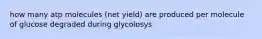 how many atp molecules (net yield) are produced per molecule of glucose degraded during glycolosys