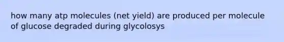 how many atp molecules (net yield) are produced per molecule of glucose degraded during glycolosys